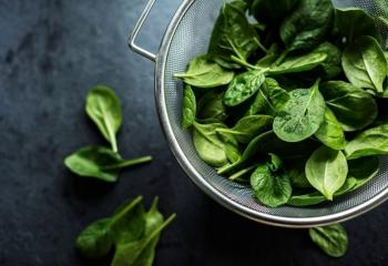 A-vitamin banner