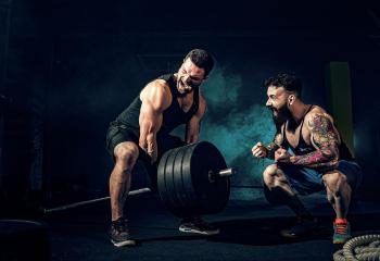 PWO banner