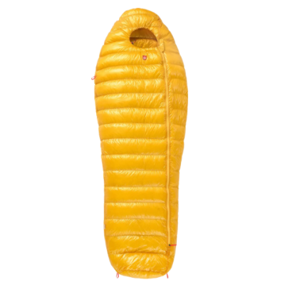 Pajak Radical 1Z Gold