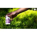 Healthwell Lutein 100 Plus