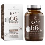 KSM66 Ashwagandha