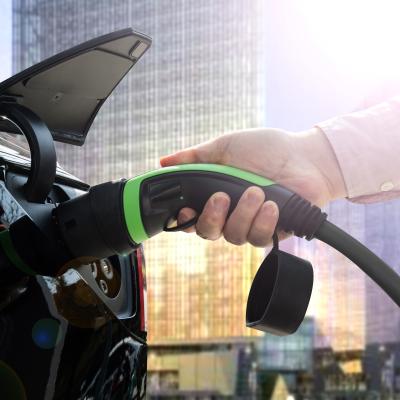 Luxorparts BEV Typ 2 22 kW
