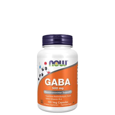 NOW Foods GABA 500 mg