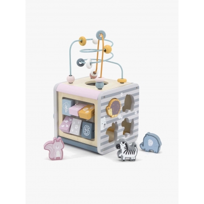 VIGA Polar B Aktivitetskub